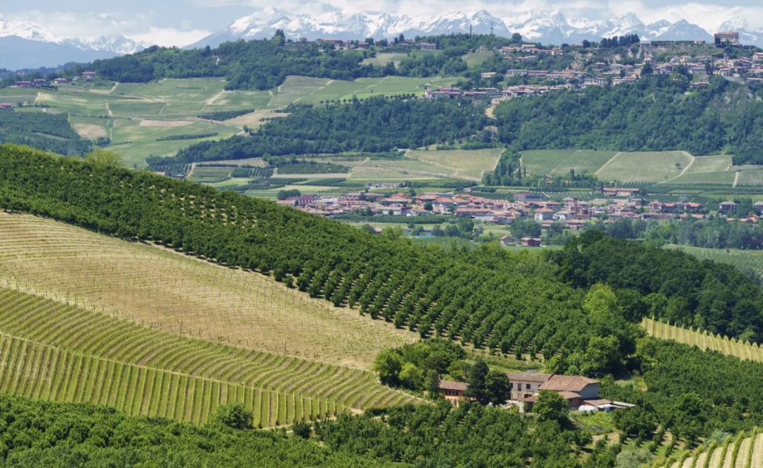 Fotovoltaico per aziende in Piemonte: incentivi, modelli e opportunità 2026